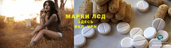 дживик Верхний Тагил