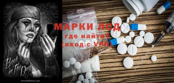 дживик Верхний Тагил