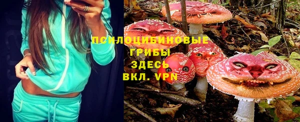 дживик Верхний Тагил