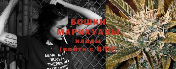 дживик Верхний Тагил