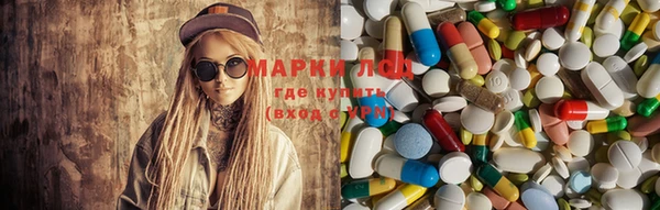 дживик Верхний Тагил